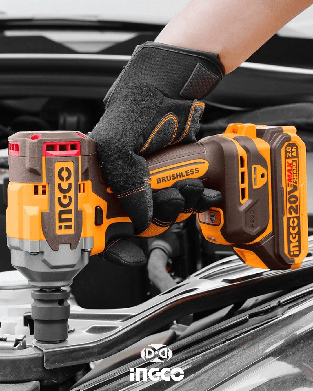 COSLI250783
